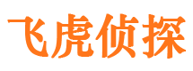 平武市场调查